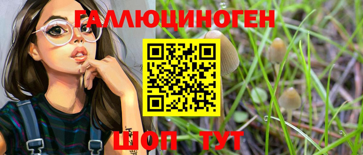 Псилоцибиновые грибы Psilocybe  Галлюциногенные грибы MAGIC MUSHROOMS  Вход с VPN  Кашира 